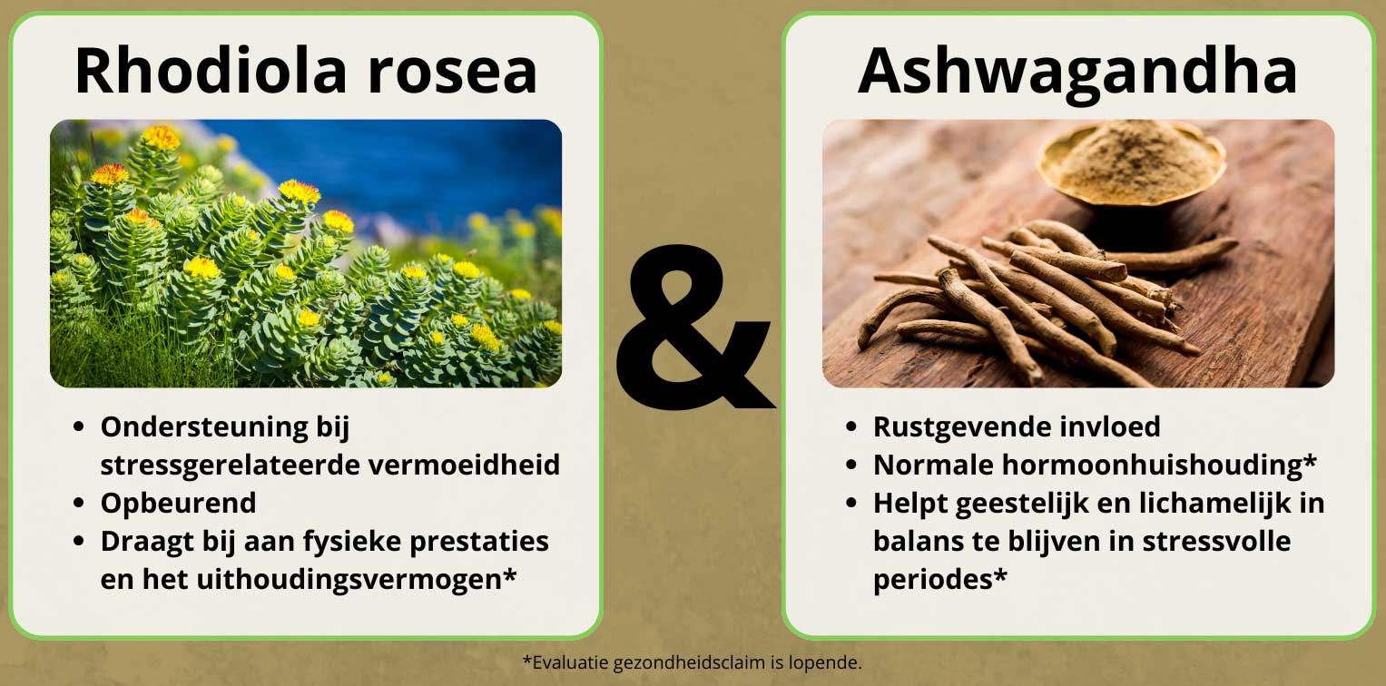 Gezondheidsclaims Rhodiola en Ashwagandha